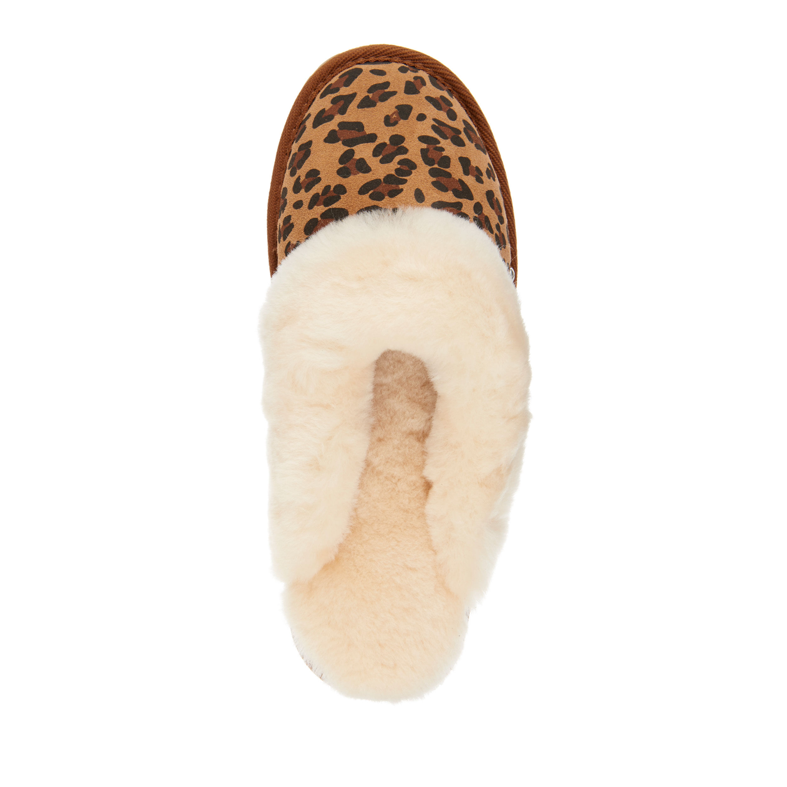 Jolie Leopard Womens Sheepskin Slipper EMU Australia