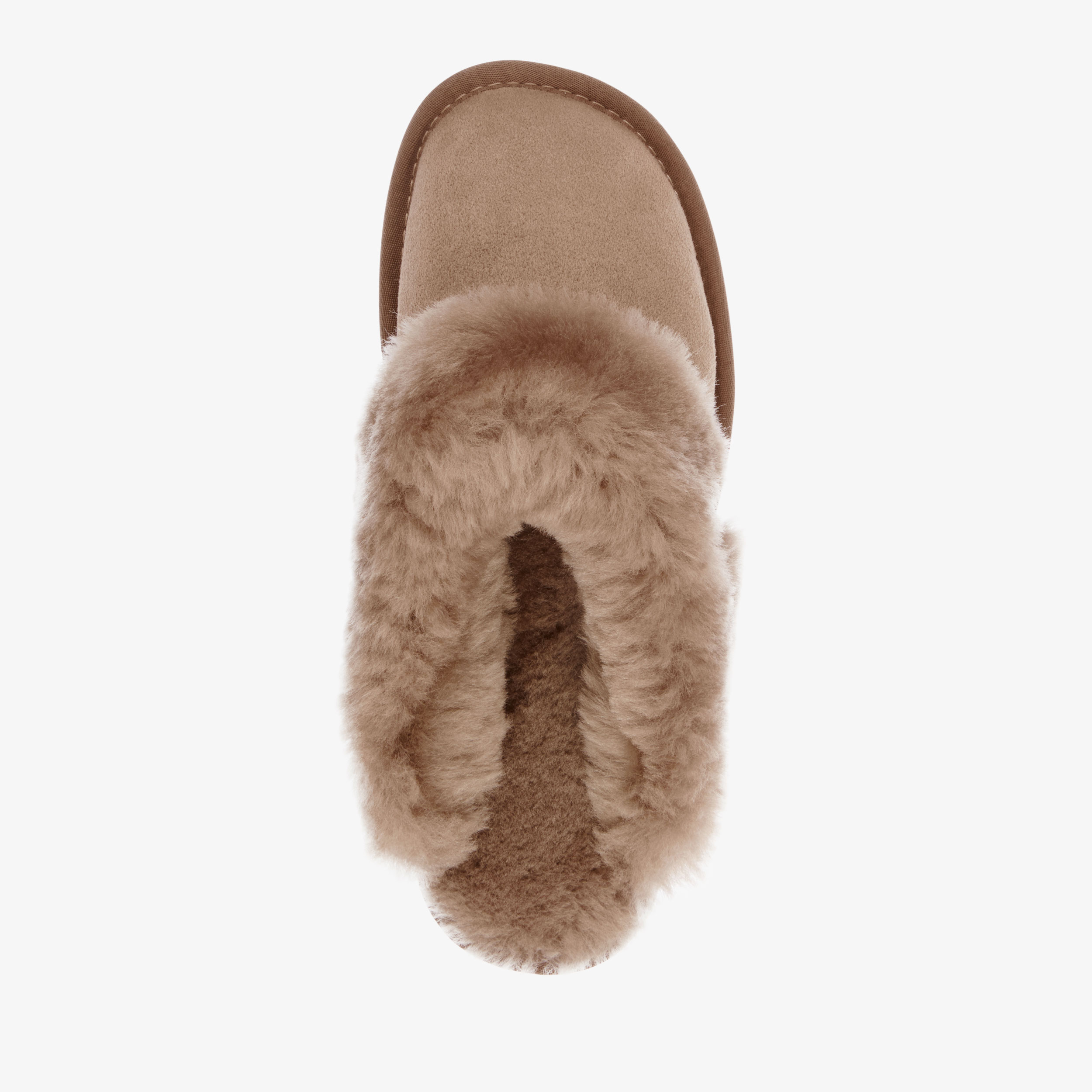 Platinum Eden Womens Sheepskin Slipper EMU Australia